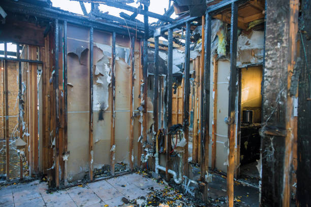 Professional Fire Damage Repair technician working in Windsor, IL